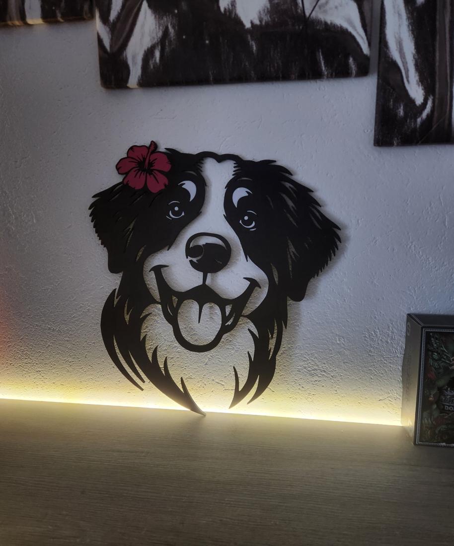 Wall Art Chien Bouvier Bernois