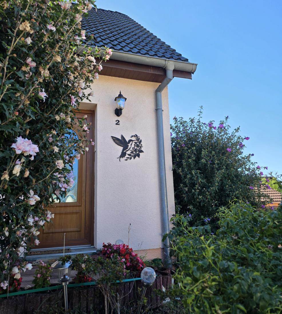 Wall Art Colibri D